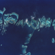Image for article titled Earth’s fragile coral reefs, seen from space